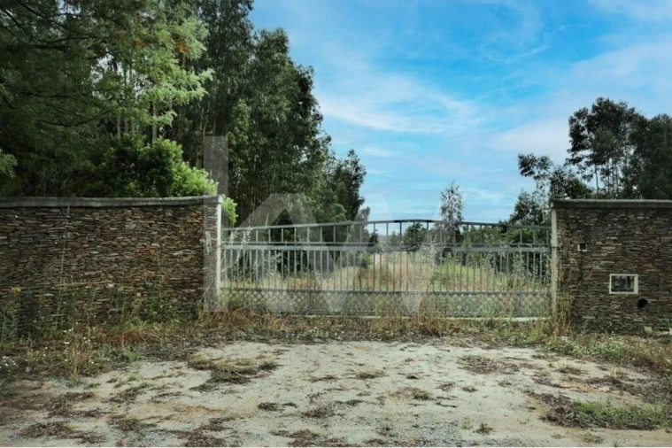 Quinta T5 para Venda em Vendas Novas Foto 24