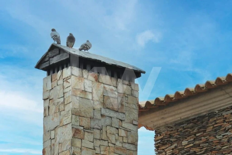 Quinta T5 para Venda em Vendas Novas Foto 16