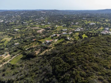 Terreno para Venda em Santa Barbara de Nexe