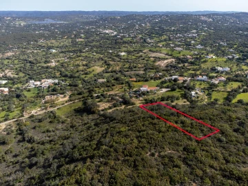 Terreno para Venda em Santa Barbara de Nexe