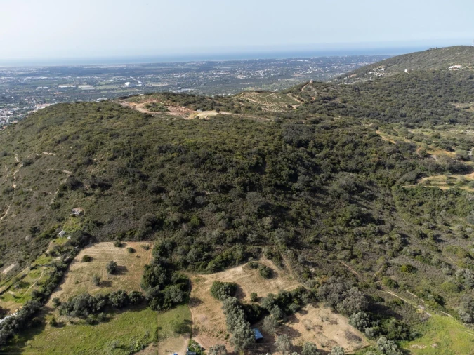 Terreno para Venda em Santa Barbara de Nexe Foto 3