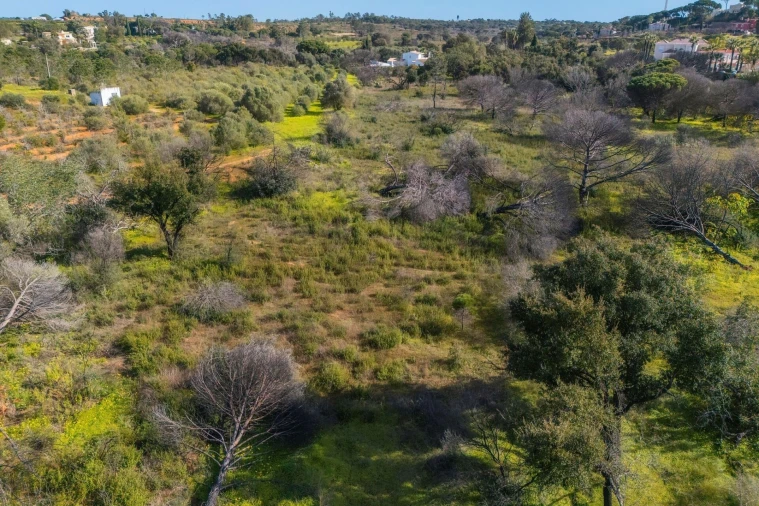 Terreno para Venda em Almancil Foto 38