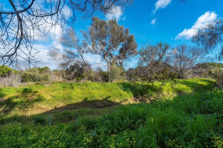 Terreno para Venda em Almancil Foto 59