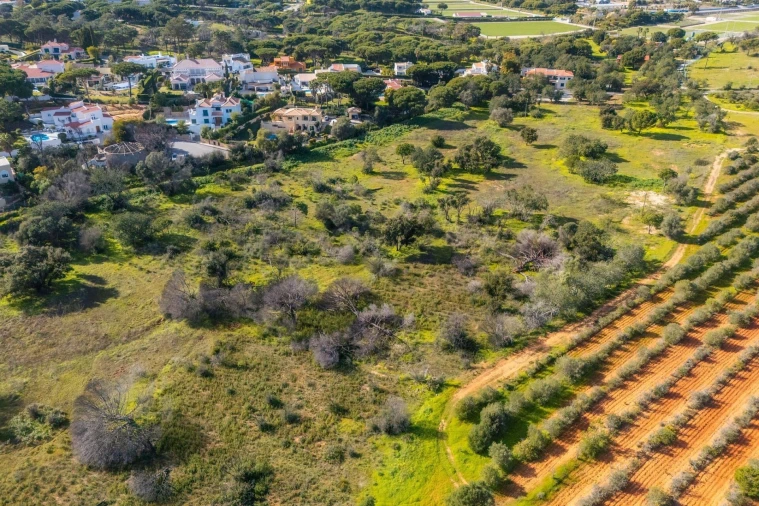 Terreno para Venda em Almancil Foto 15