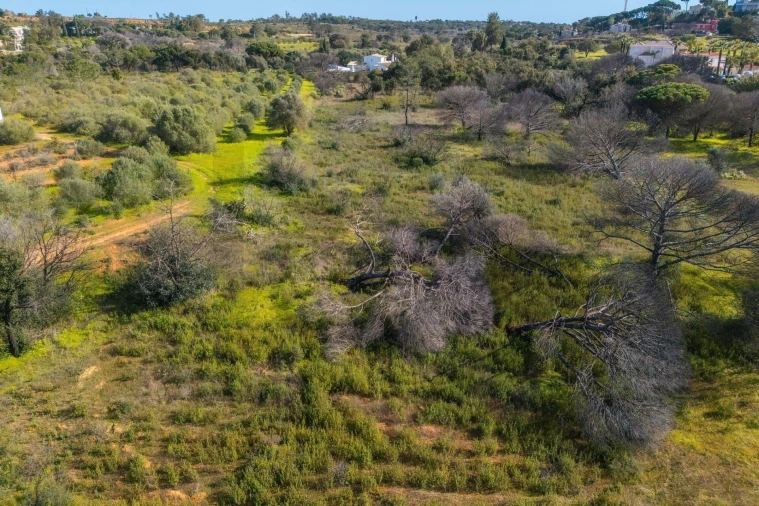 Terreno para Venda em Almancil Foto 39