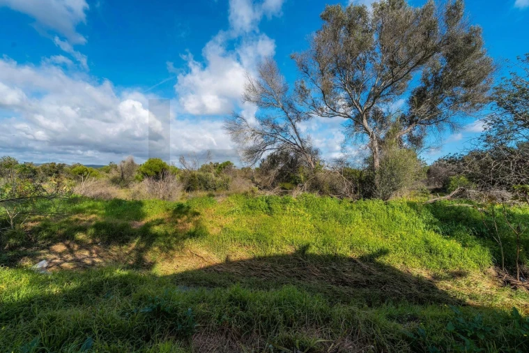 Terreno para Venda em Almancil Foto 60