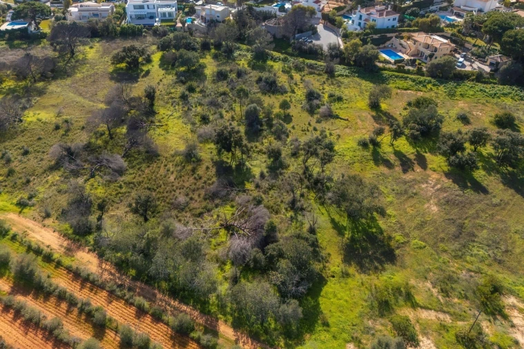 Terreno para Venda em Almancil Foto 18