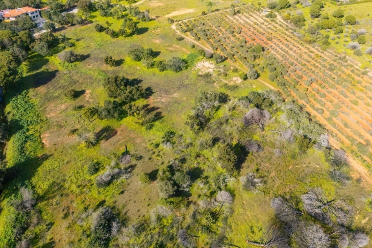 Terreno para Venda em Almancil Foto 8