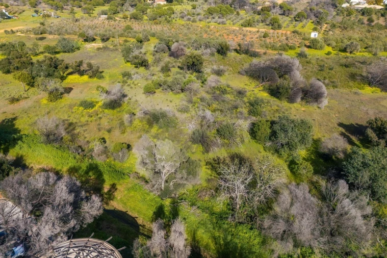 Terreno para Venda em Almancil Foto 31