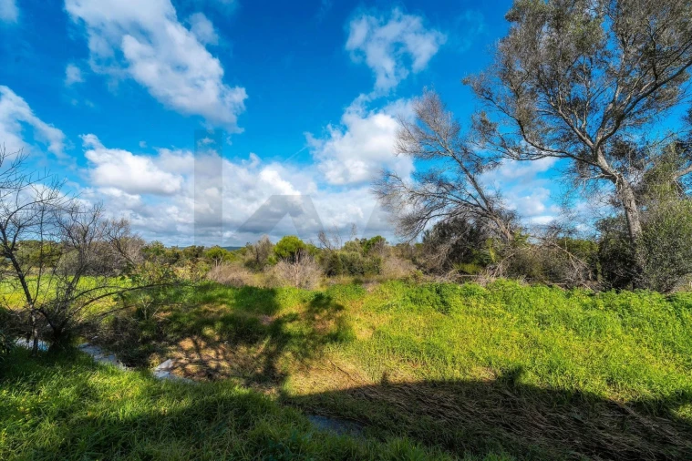 Terreno para Venda em Almancil Foto 63