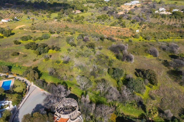 Terreno para Venda em Almancil Foto 30