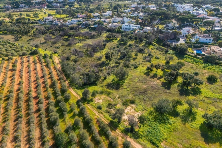 Terreno para Venda em Almancil Foto 19