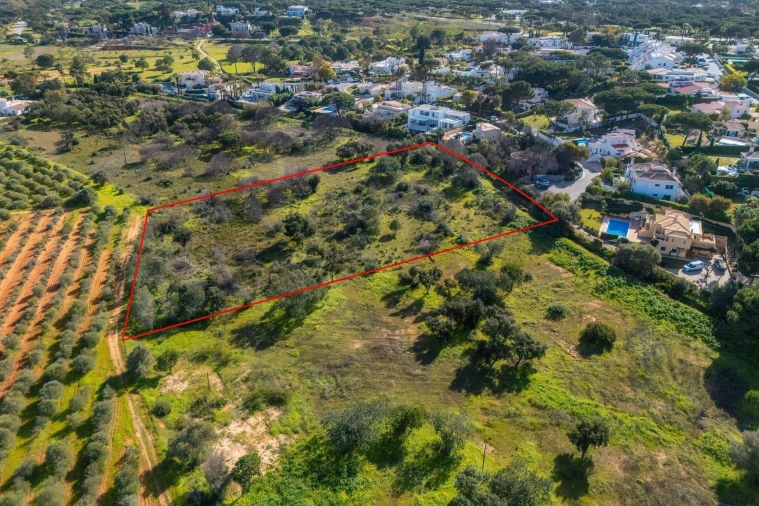 Terreno para Venda em Almancil Foto 22