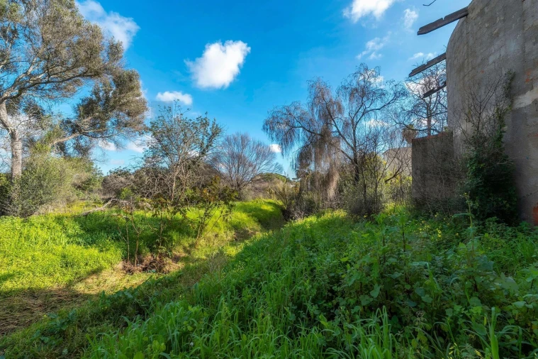 Terreno para Venda em Almancil Foto 69
