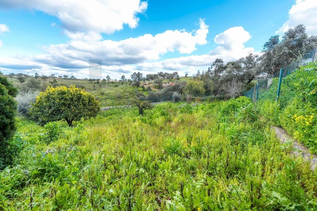 Moradia T3 para Venda em Salir Foto 34