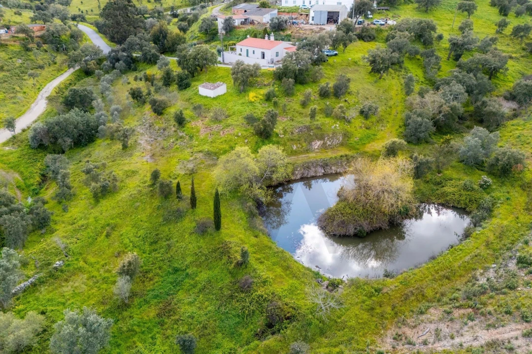 Moradia T3 para Venda em Salir Foto 39