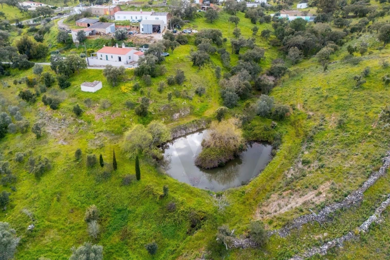 Moradia T3 para Venda em Salir Foto 40