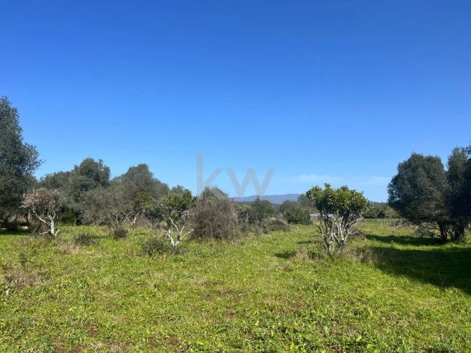 Terreno para Venda em Mexilhoeira Grande Foto 7