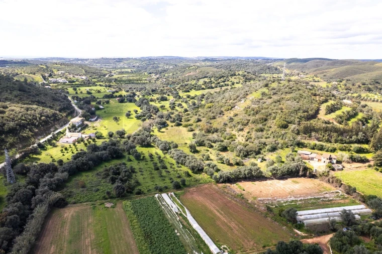 Terreno para Venda em Mexilhoeira Grande Foto 14