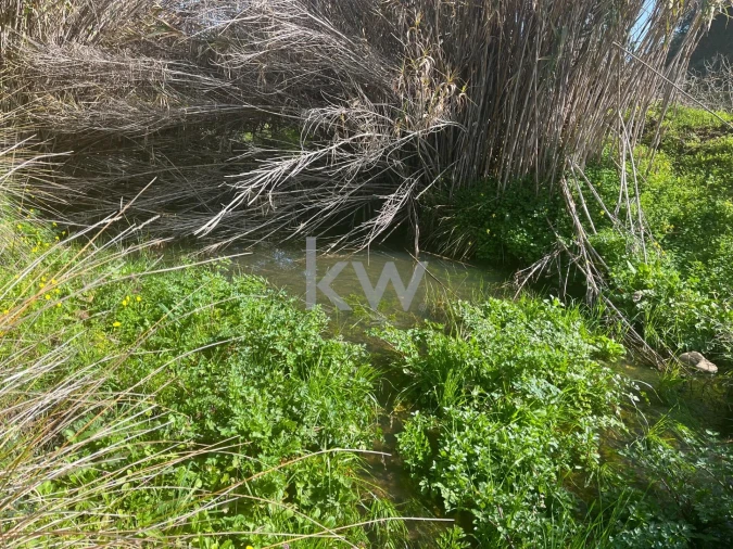 Terreno para Venda em Mexilhoeira Grande Foto 6