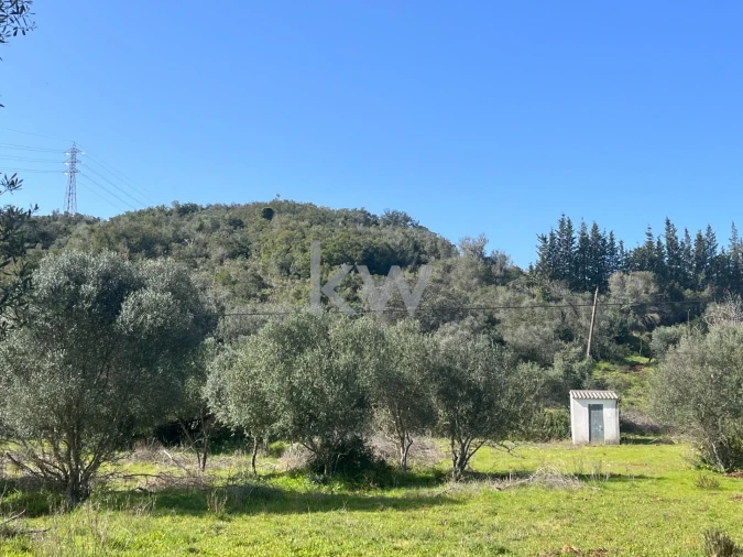 Terreno para Venda em Mexilhoeira Grande Foto 2