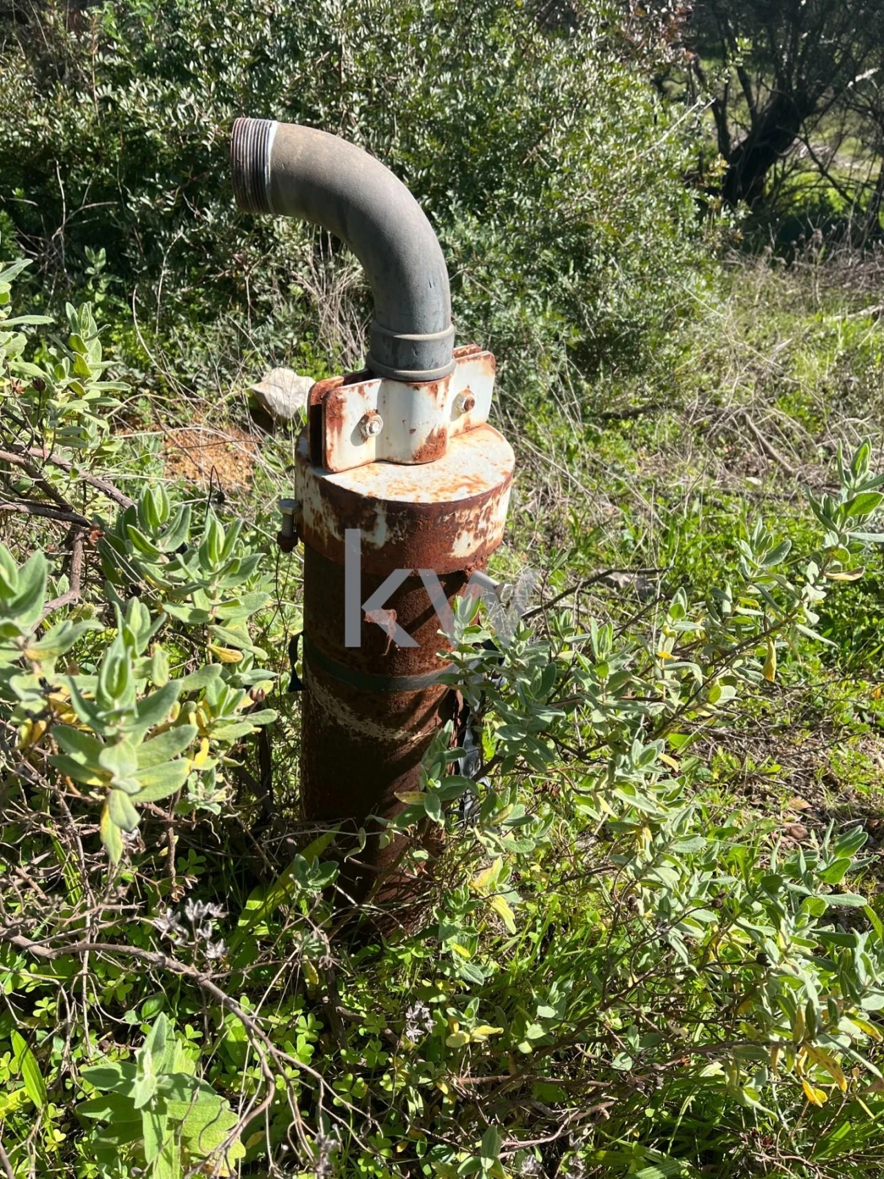 Terreno para Venda em Mexilhoeira Grande Foto 10