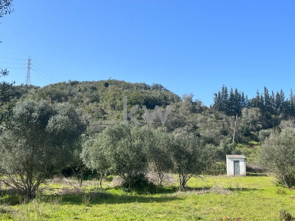 Terreno para Venda em Mexilhoeira Grande Foto 2