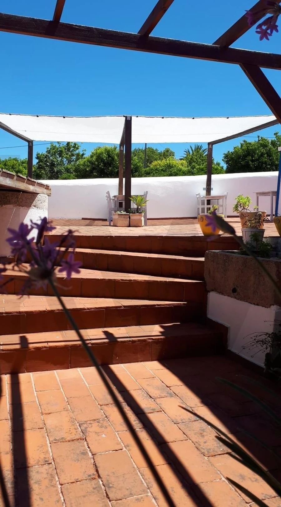 Moradia T4 para Venda em Silves Foto 38