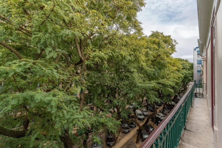 Apartamento T5 para Venda em Avenidas Novas Foto 8
