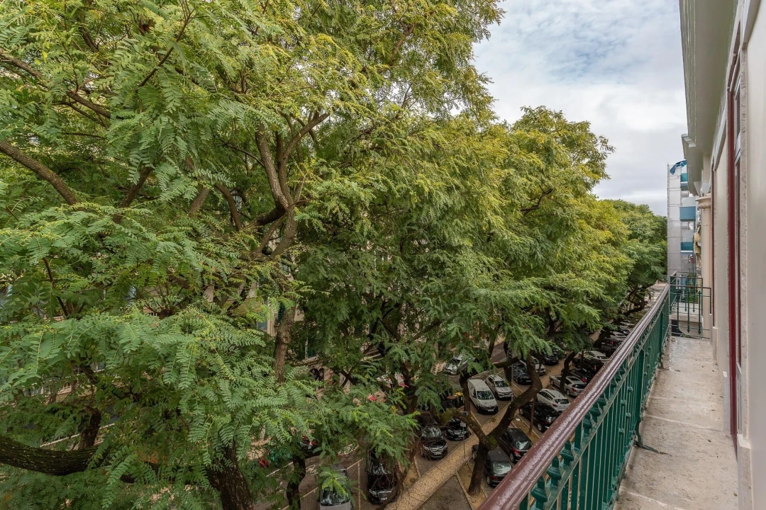 Apartamento T5 para Venda em Avenidas Novas Foto 8