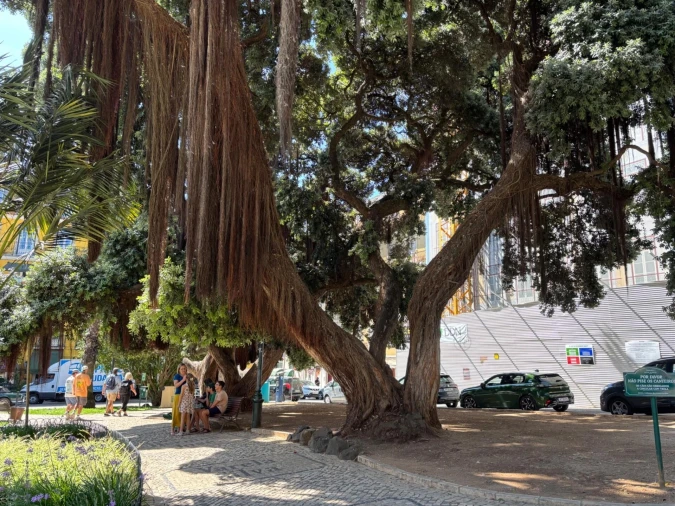Negócio para Venda em Santo António Foto 9
