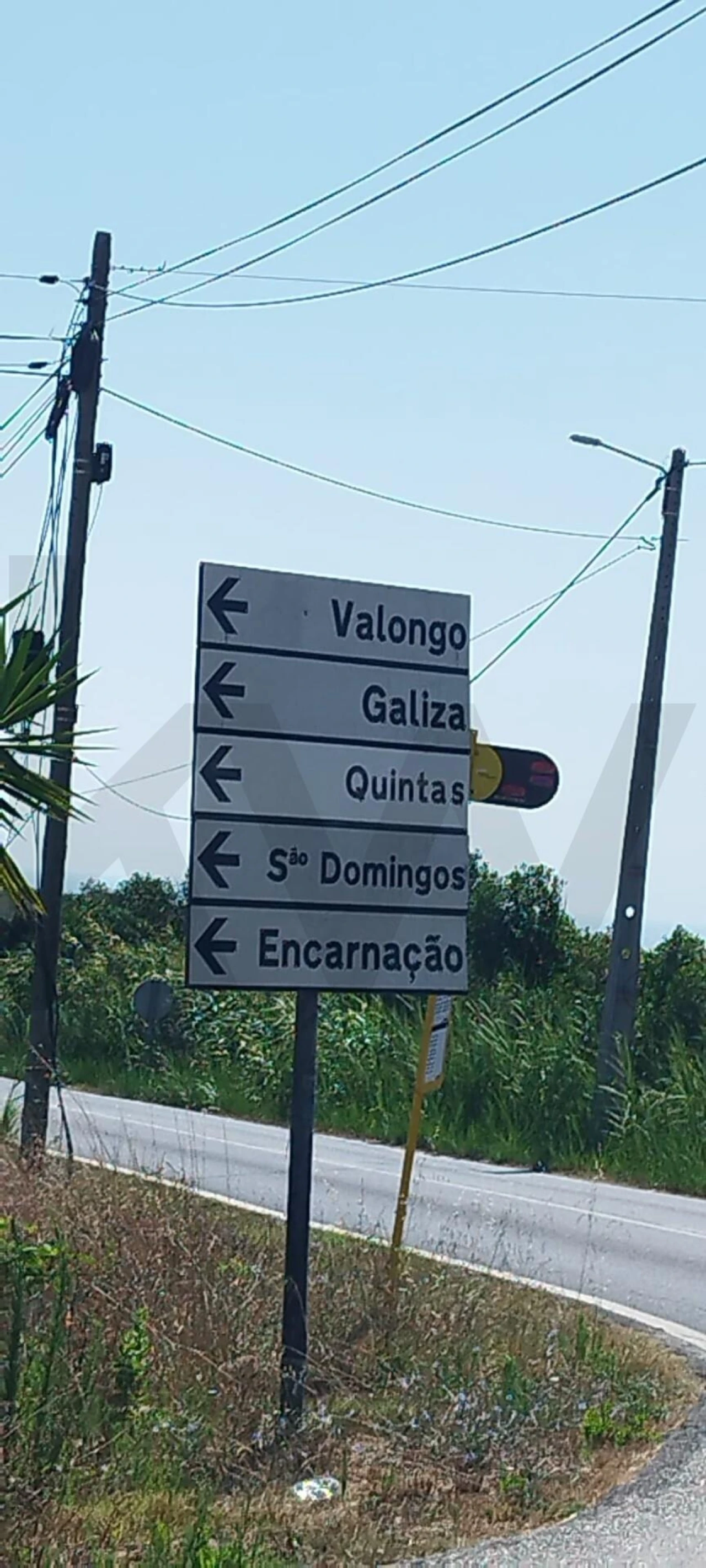 Terreno para Venda em Santo Isidoro Foto 8