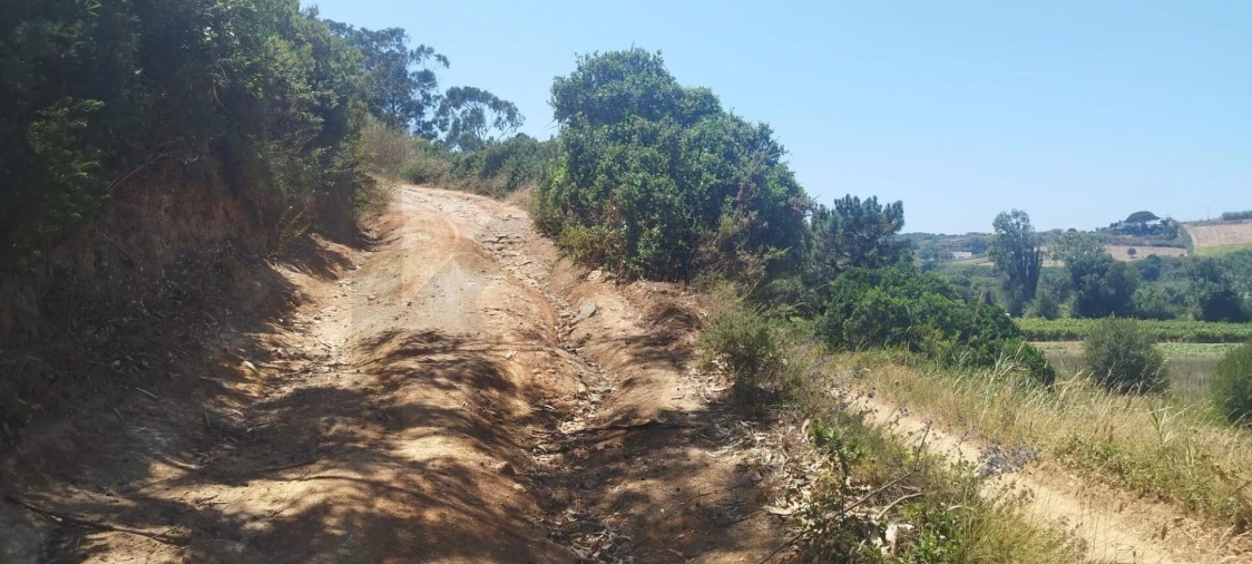 Terreno para Venda em Santo Isidoro Foto 7
