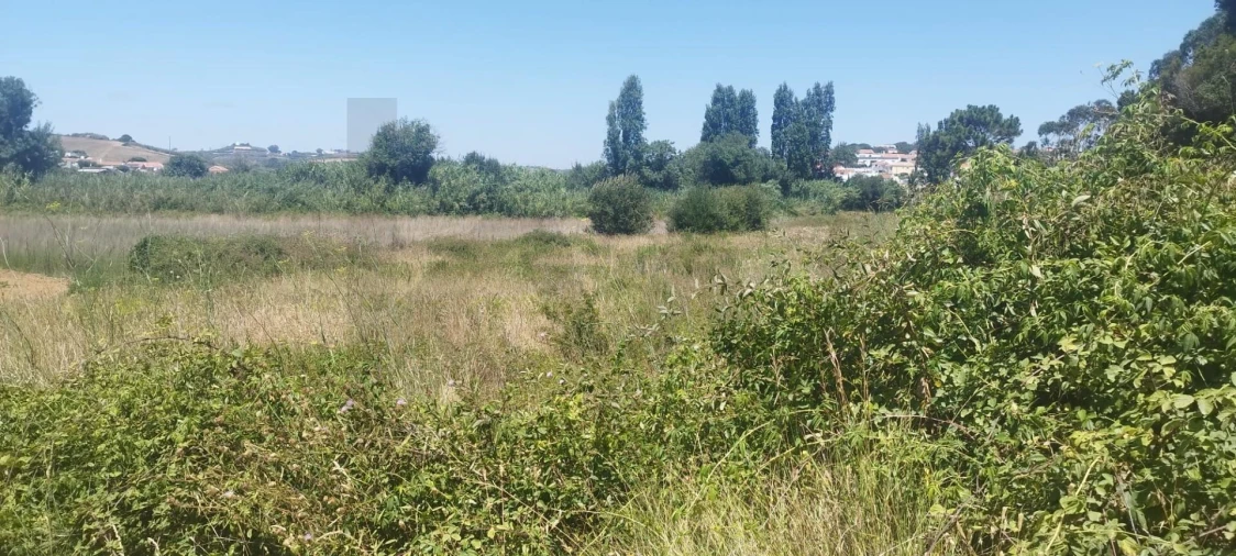 Terreno para Venda em Santo Isidoro Foto 3