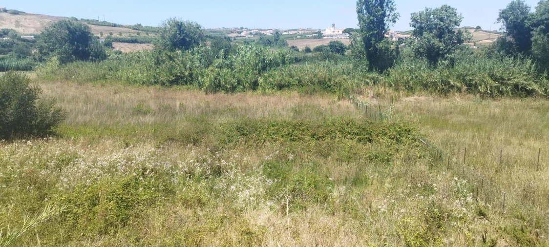 Terreno para Venda em Santo Isidoro Foto 4