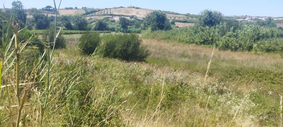 Terreno para Venda em Santo Isidoro Foto 13