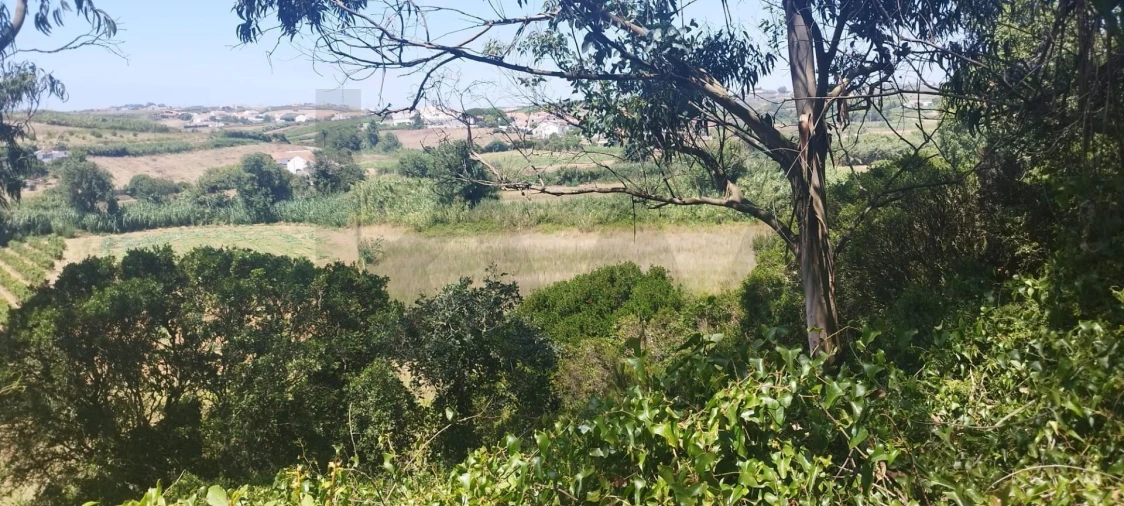 Terreno para Venda em Santo Isidoro Foto 9