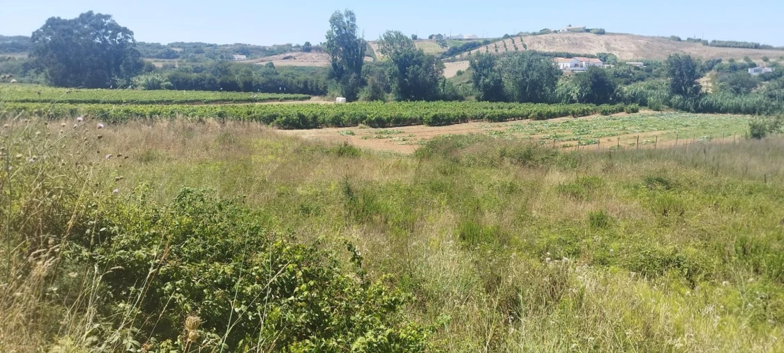 Terreno para Venda em Santo Isidoro Foto 14