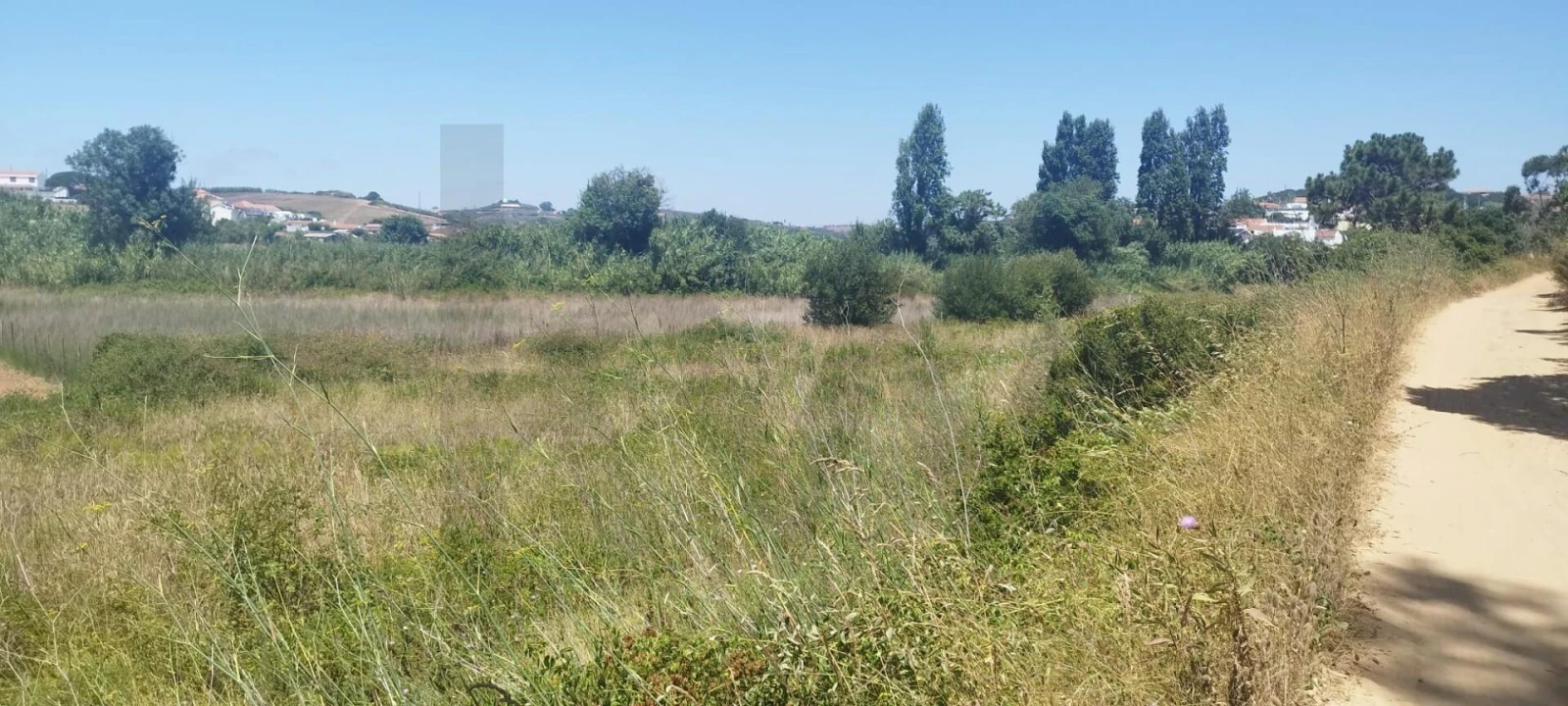 Terreno para Venda em Santo Isidoro Foto 6