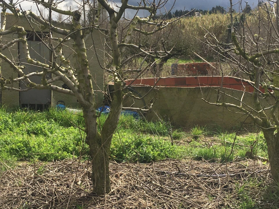 Terreno para Venda em Freiria Foto 7