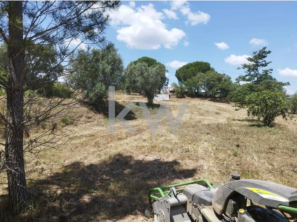 Terreno para Venda em Montargil Foto 7