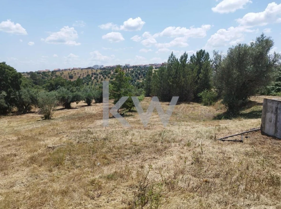 Terreno para Venda em Montargil Foto 4