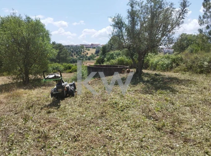 Terreno para Venda em Montargil Foto 10