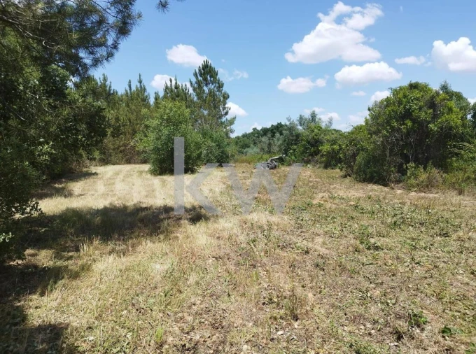 Terreno para Venda em Montargil Foto 8