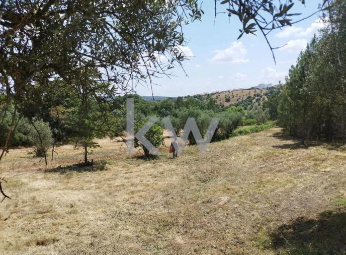 Terreno para Venda em Montargil Foto 3