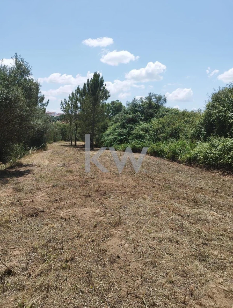 Terreno para Venda em Montargil Foto 14