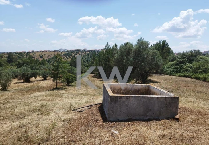 Terreno para Venda em Montargil Foto 9