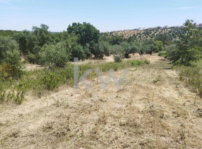 Terreno para Venda em Montargil Foto 11