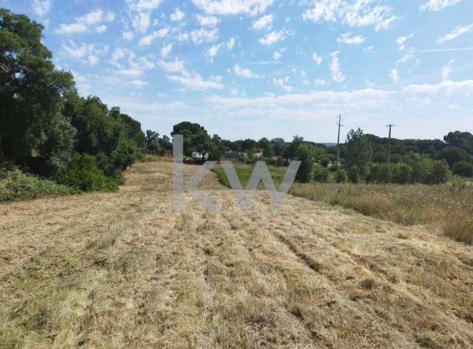 Terreno para Venda em Montargil Foto 12