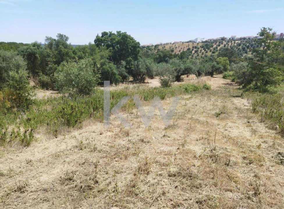 Terreno para Venda em Montargil Foto 11